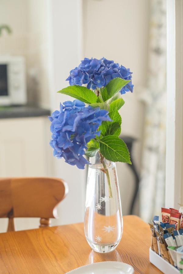 Pant-Y-Celyn Studio Apartment อาแบร์ไรรอน ภายนอก รูปภาพ